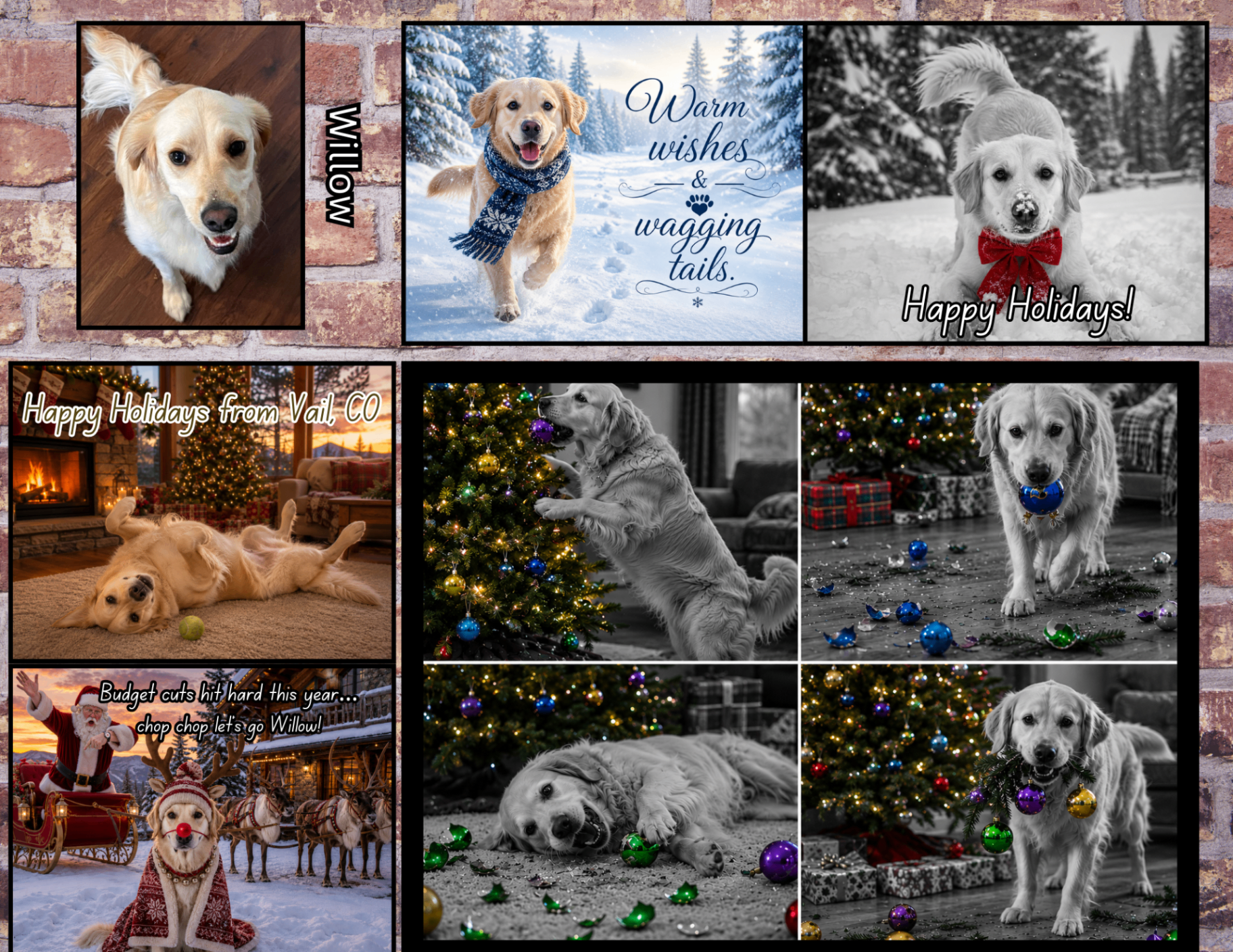 Pet Portrait Cards — The family pet, illustrated and printed.